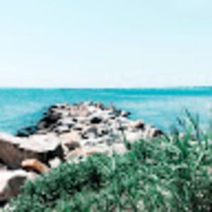 Meet your Posher, Hayl